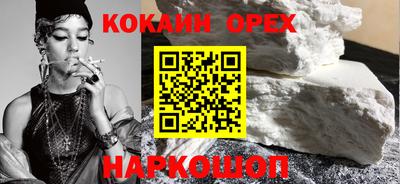 крисы Новокубанск