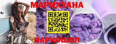 крисы Новокубанск