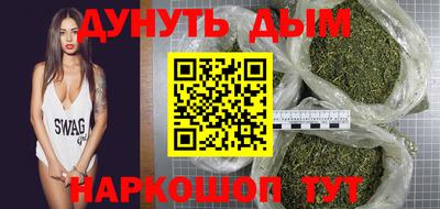 крисы Новокубанск
