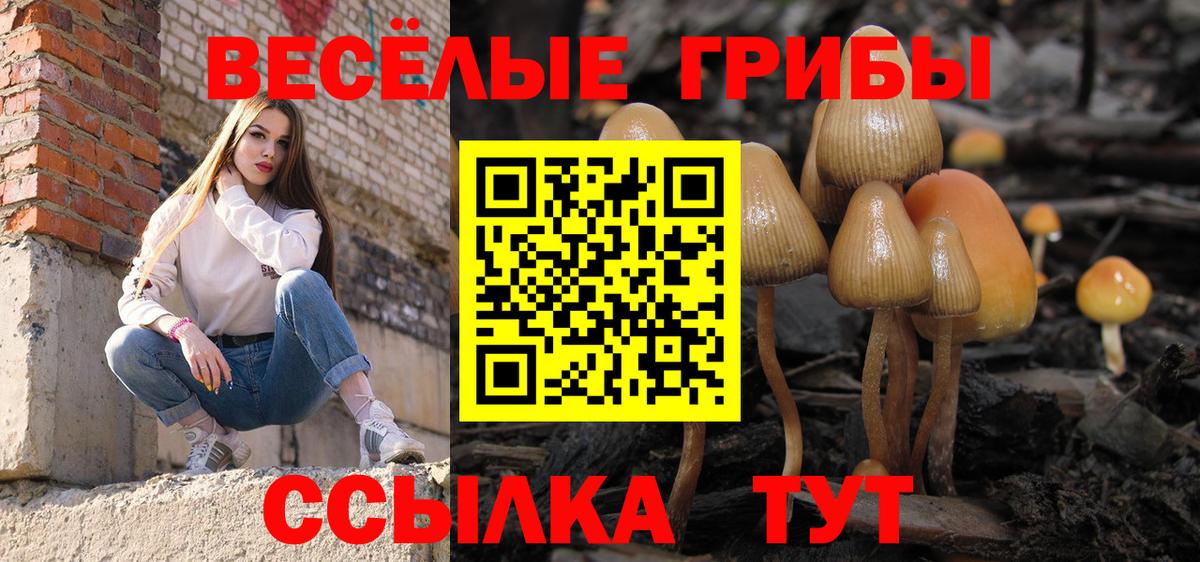 Советская Гавань  Галлюциногенные грибы MAGIC MUSHROOMS  Галлюциногенные грибы ЛСД  Вход с VPN 